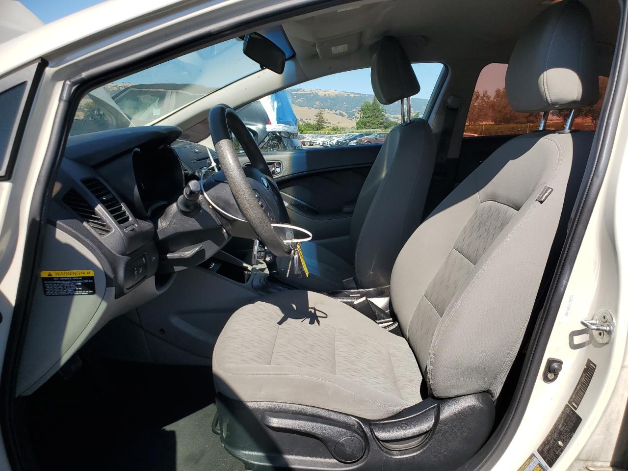 2014 Kia Forte Lx VIN: KNAFK4A65E5192974 Lot: 65089305