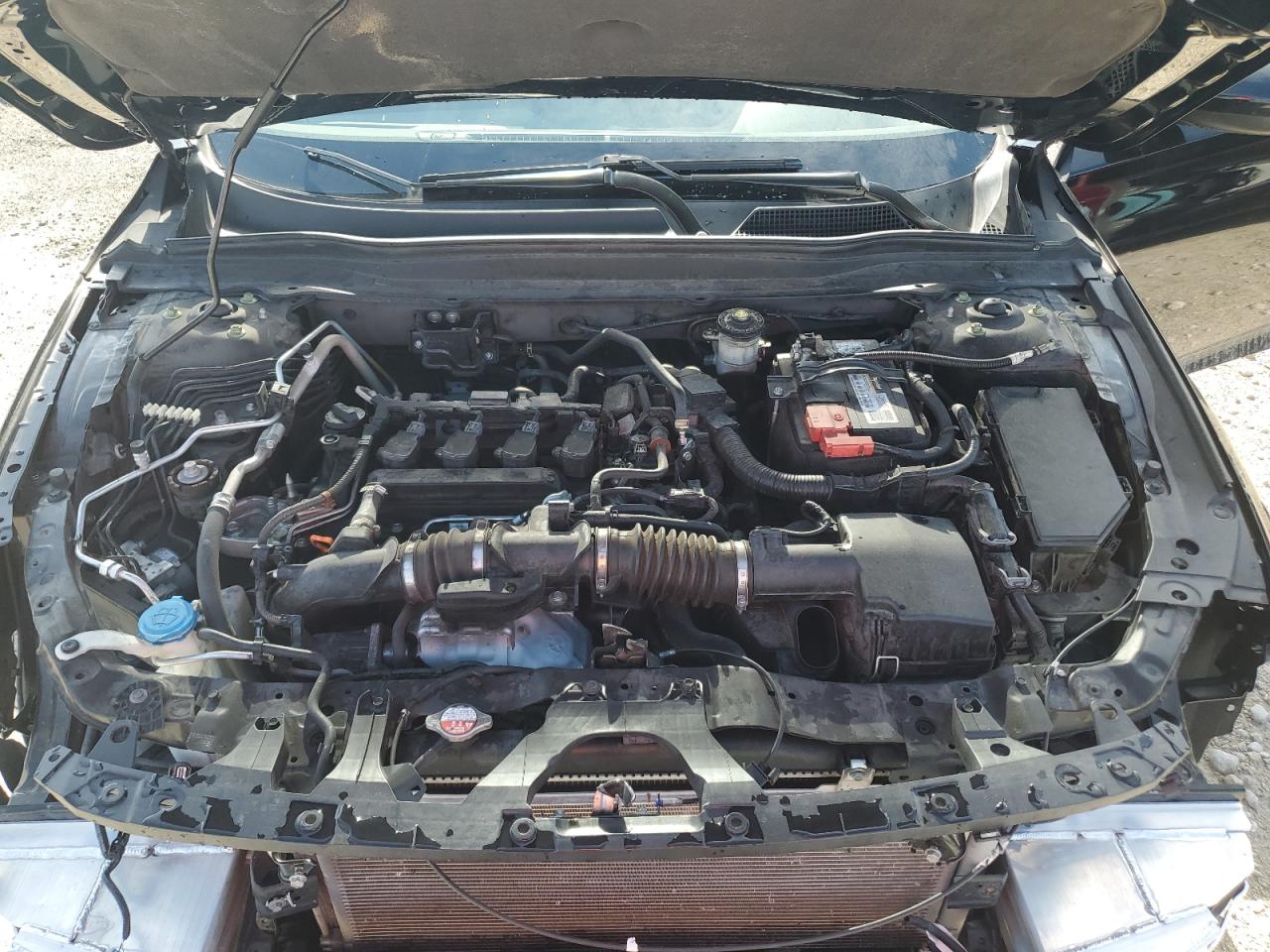 2021 Honda Accord Lx VIN: 1HGCV1F18MA038288 Lot: 63193485