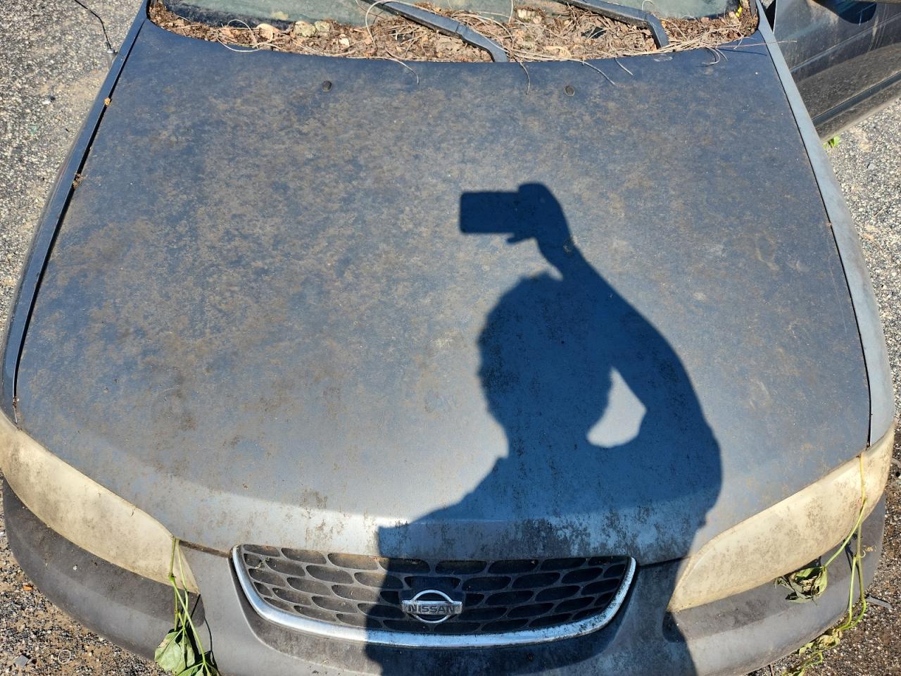 2001 Nissan Sentra Xe VIN: 3N1CB51D51L497687 Lot: 62727875