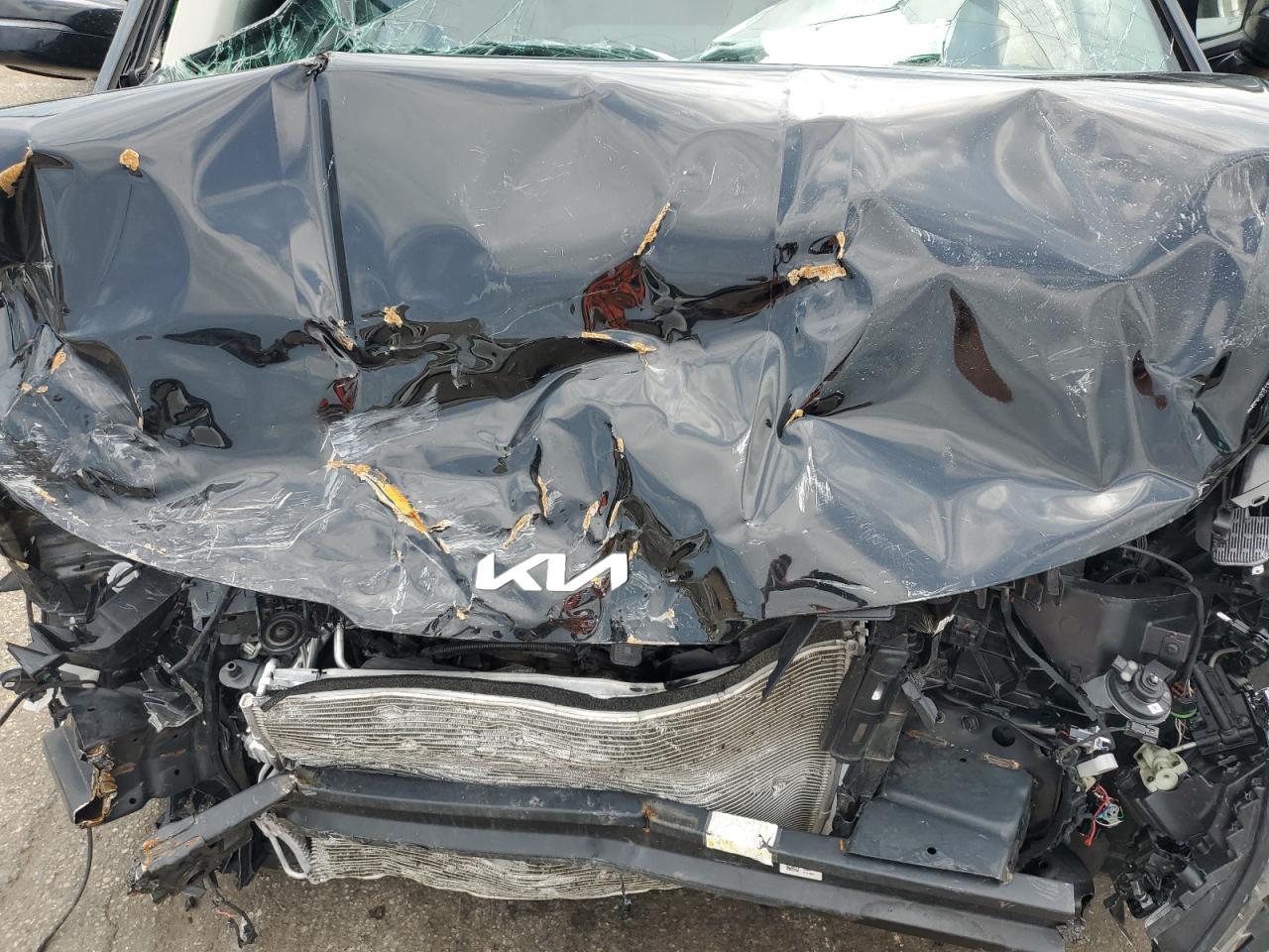 2024 Kia Carnival Lx VIN: KNDNB4H35R6414259 Lot: 63162805