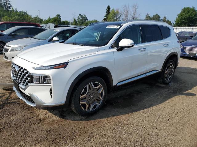 2023 HYUNDAI SANTA FE LIMITED   à vendre chez Copart ON - TORONTO