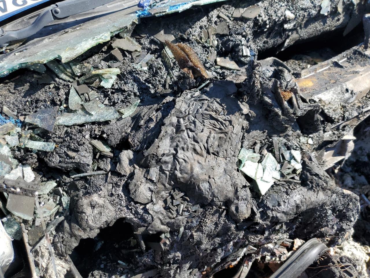 2005 Pontiac G6 Gt VIN: 1G2ZH548154180557 Lot: 66292435