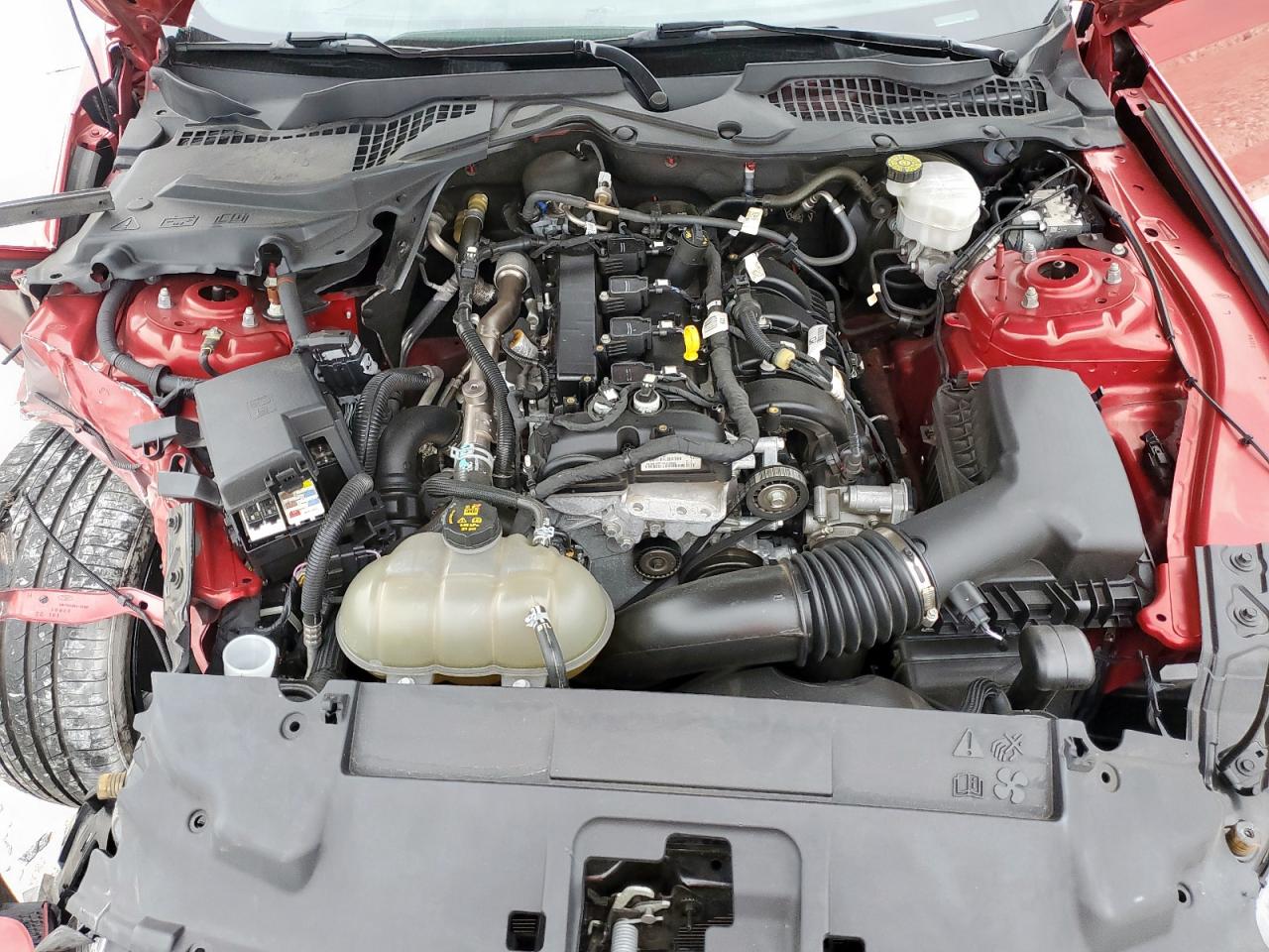 2022 Ford Mustang VIN: 1FA6P8TH3N5132353 Lot: 65389975