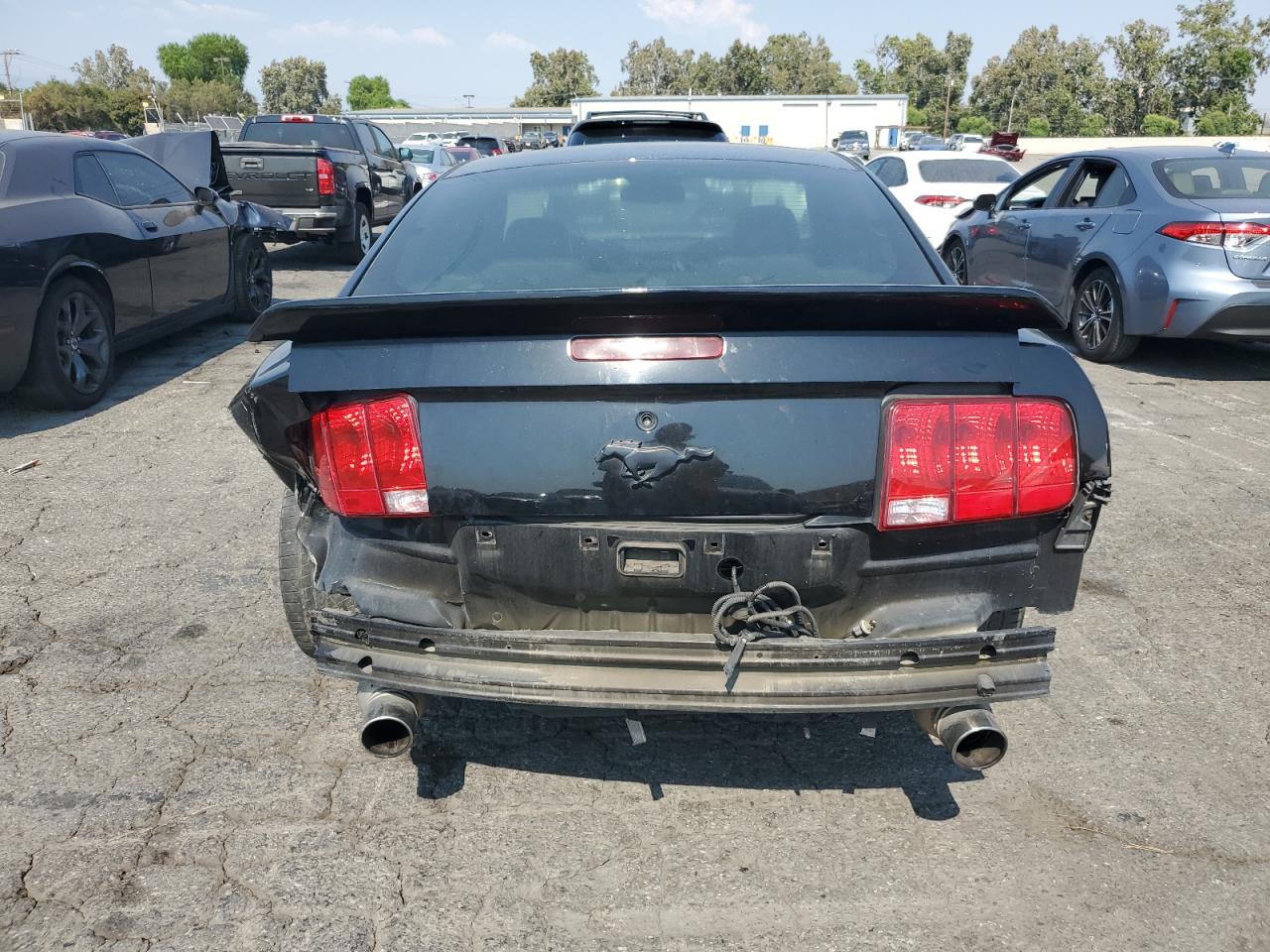 2007 Ford Mustang Gt VIN: 1ZVHT82H875249880 Lot: 64664475