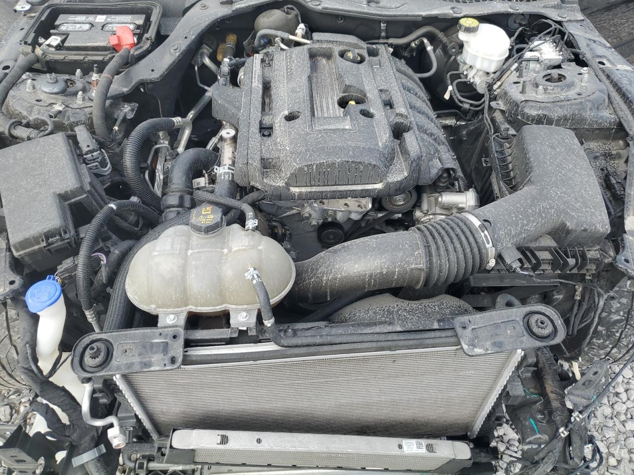 2020 Ford Mustang VIN: 1FA6P8TH1L5191804 Lot: 64786885