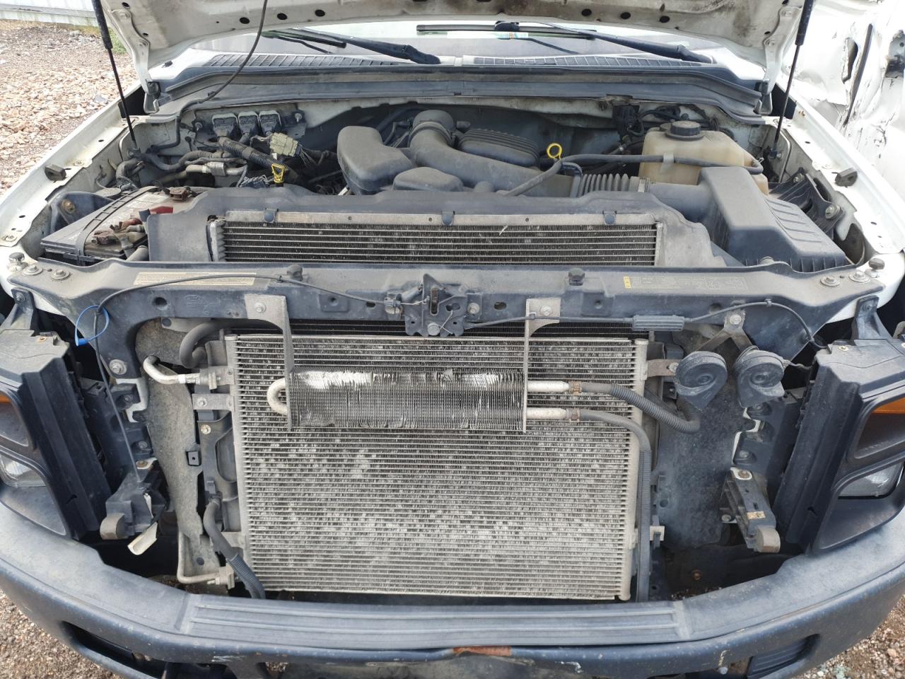 2009 Ford F250 Super Duty VIN: 1FTNF21539EB08655 Lot: 66551375