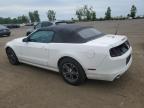 2013 FORD MUSTANG    à vendre chez Copart QC - MONTREAL