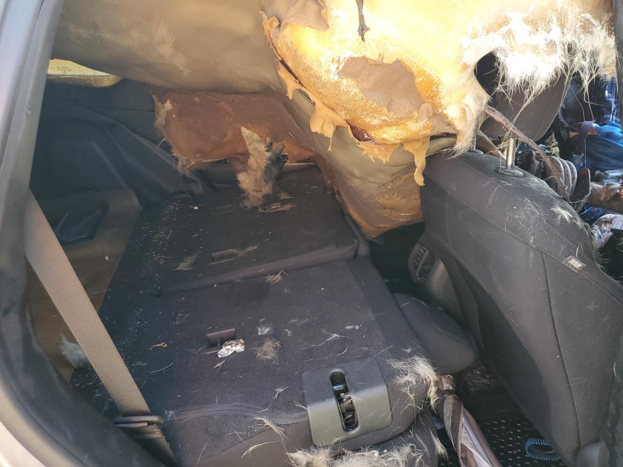 2020 Jeep Cherokee Latitude VIN: 1C4PJMCB0LD584719 Lot: 66609935