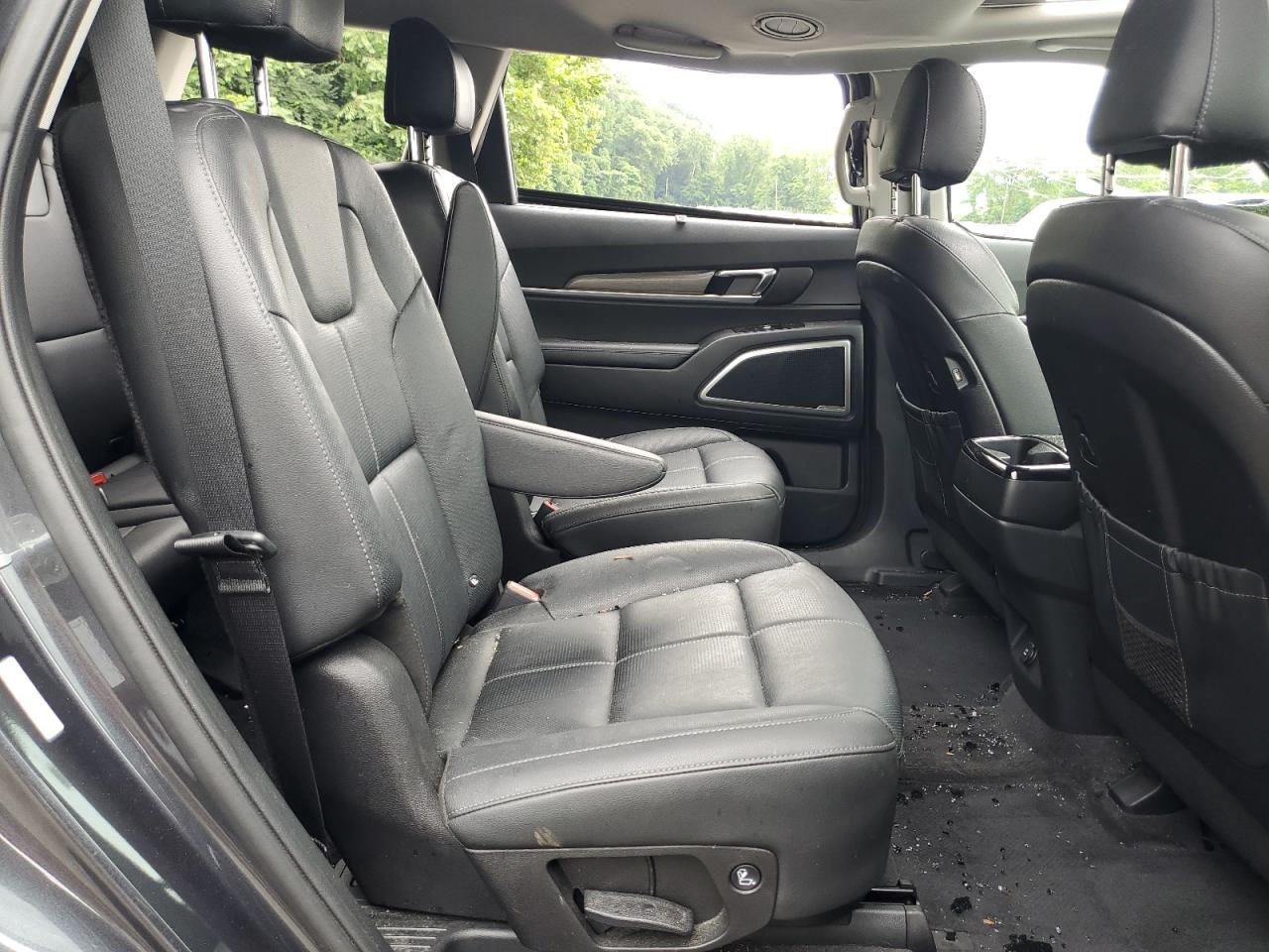 2021 Kia Telluride Ex VIN: 5XYP3DHCXMG113871 Lot: 64113405