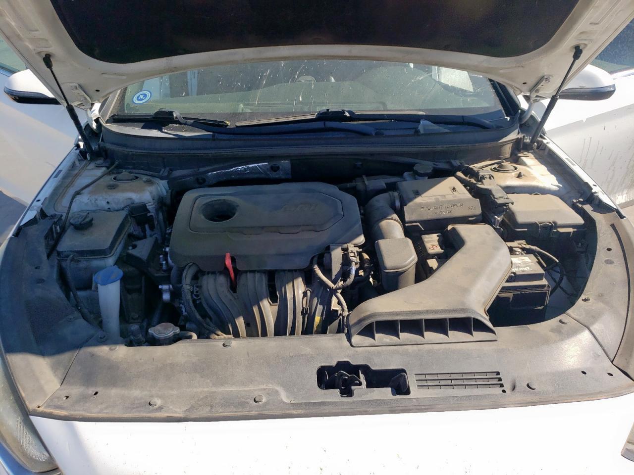 2018 Hyundai Sonata Sport VIN: 5NPE34AF9JH646696 Lot: 66049235