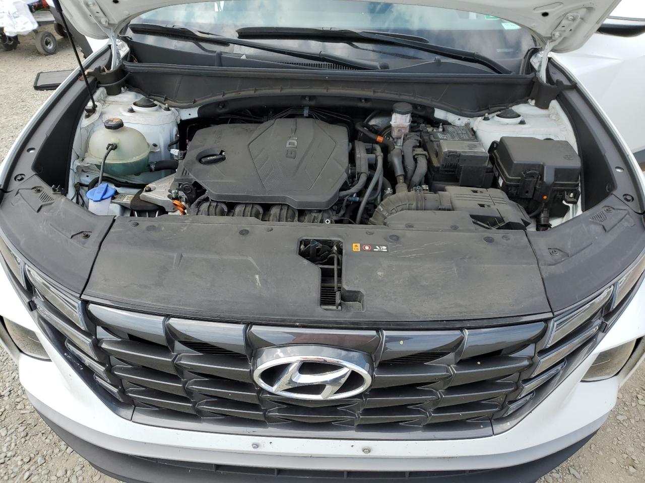 2023 Hyundai Tucson Sel VIN: 5NMJBCAE5PH263086 Lot: 65368145