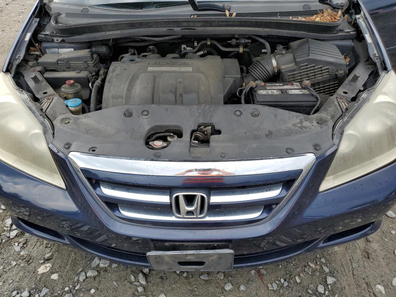 2007 Honda Odyssey Exl VIN: 5FNRL38697B034815 Lot: 64783425