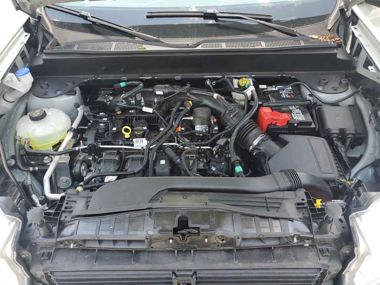 3fttw8a96rrb06263 3FTTW8A96RRB06263 2024 Ford Maverick Xl