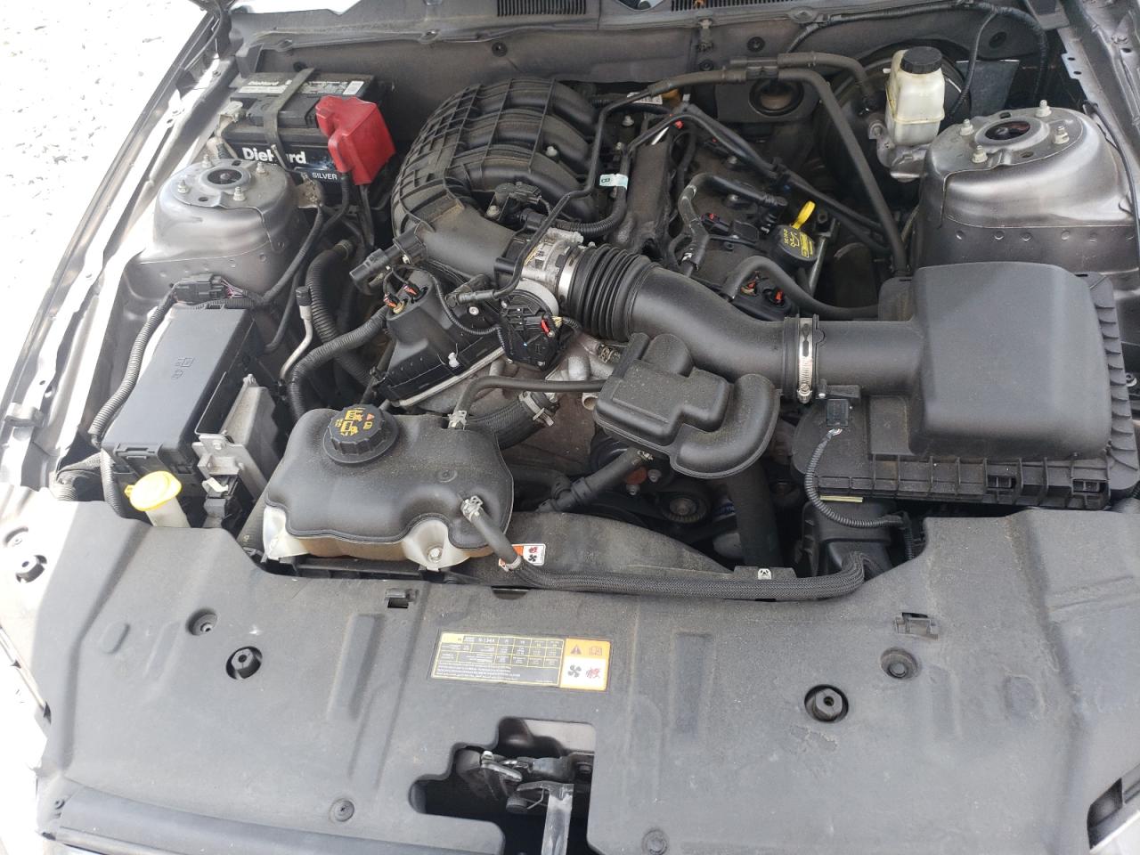 2013 Ford Mustang VIN: 1ZVBP8AM9D5252372 Lot: 62773595