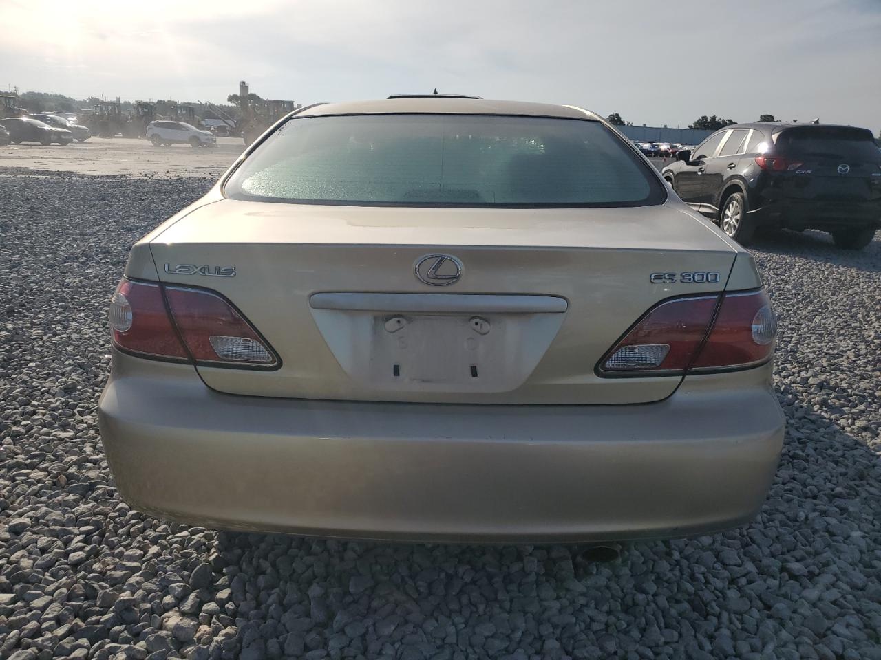 2002 Lexus Es 300 VIN: JTHBF30G020022104 Lot: 64509465