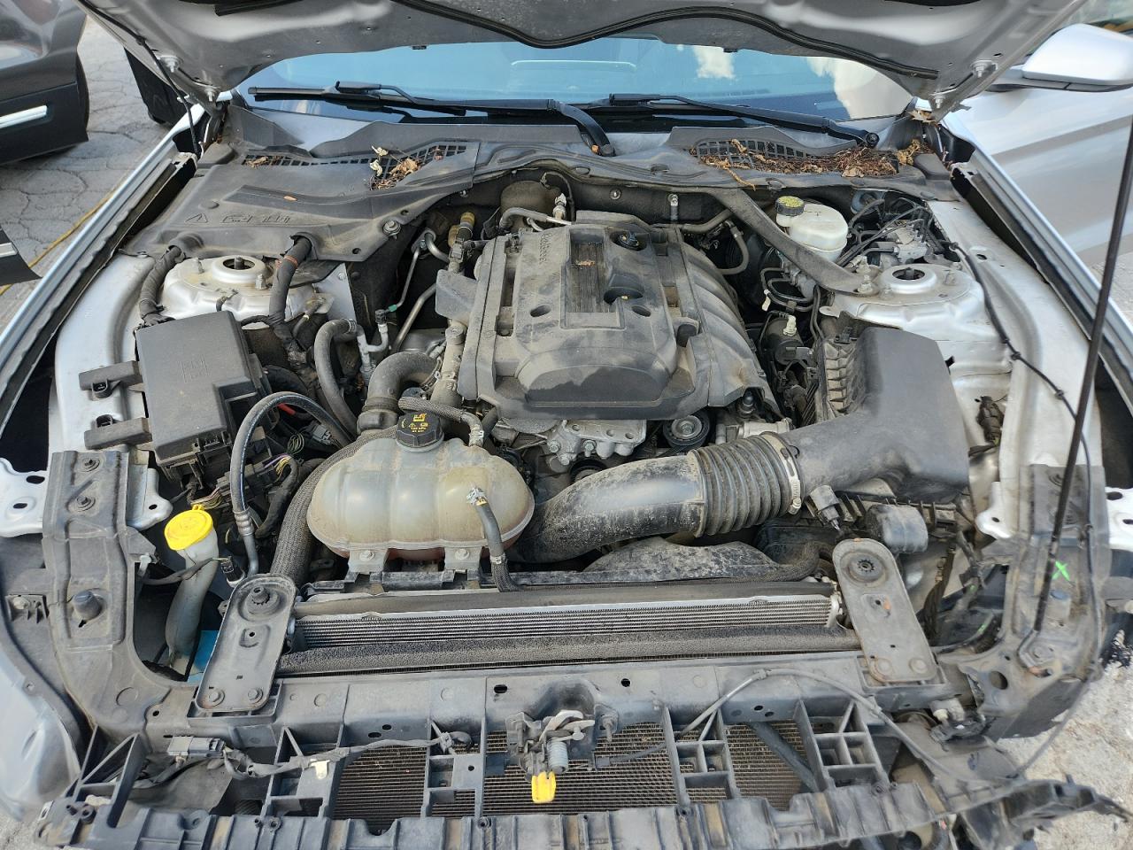 2017 Ford Mustang VIN: 1FATP8UH0H5205863 Lot: 66209675