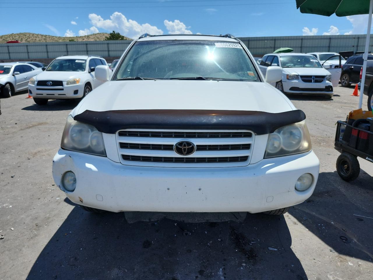 2002 Toyota Highlander Limited VIN: JTEHF21A920073001 Lot: 66620925