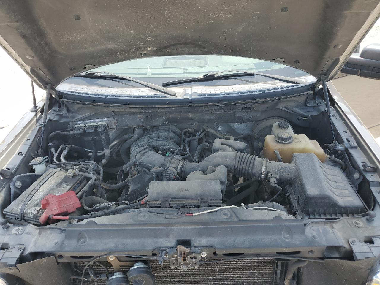 2011 Ford F150 Supercrew VIN: 1FTEW1CM0BFB03900 Lot: 65834965