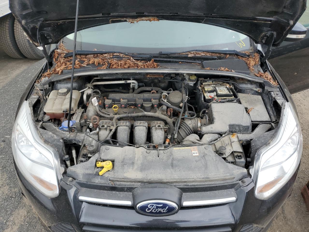 2013 Ford Focus Se VIN: 1FADP3K20DL269087 Lot: 65347545