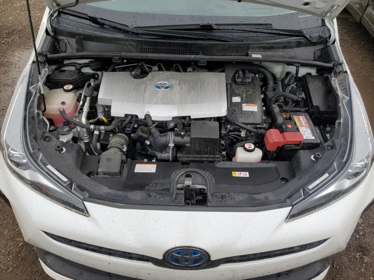 2019 Toyota Prius VIN: JTDKARFU4K3094387 Lot: 64812515