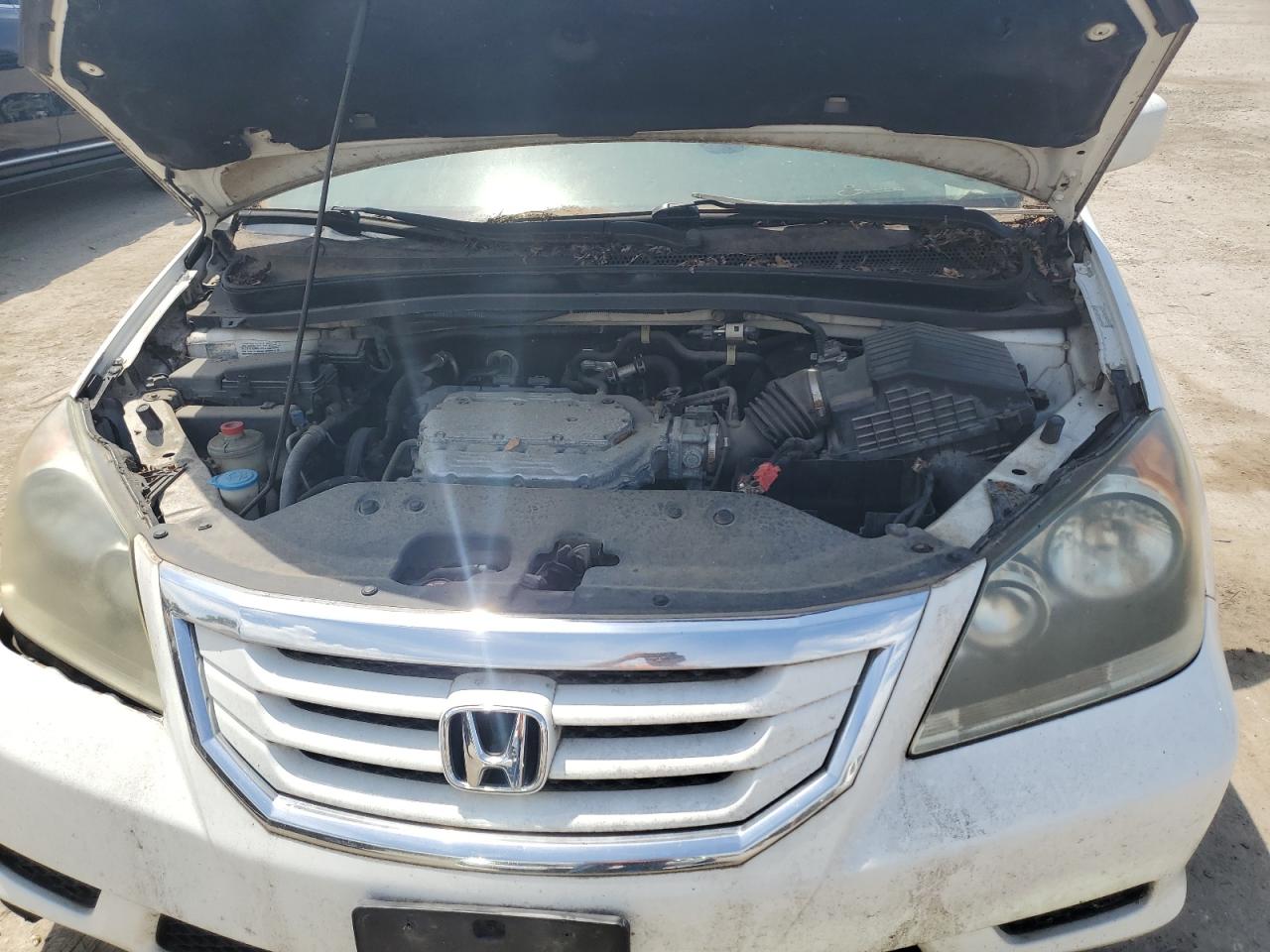 2009 Honda Odyssey Exl VIN: 5FNRL38629B004218 Lot: 63314535