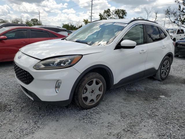 FORD ESCAPE 2020 Белы
