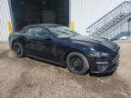 2019 FORD MUSTANG    for sale at Copart QC - MONTREAL