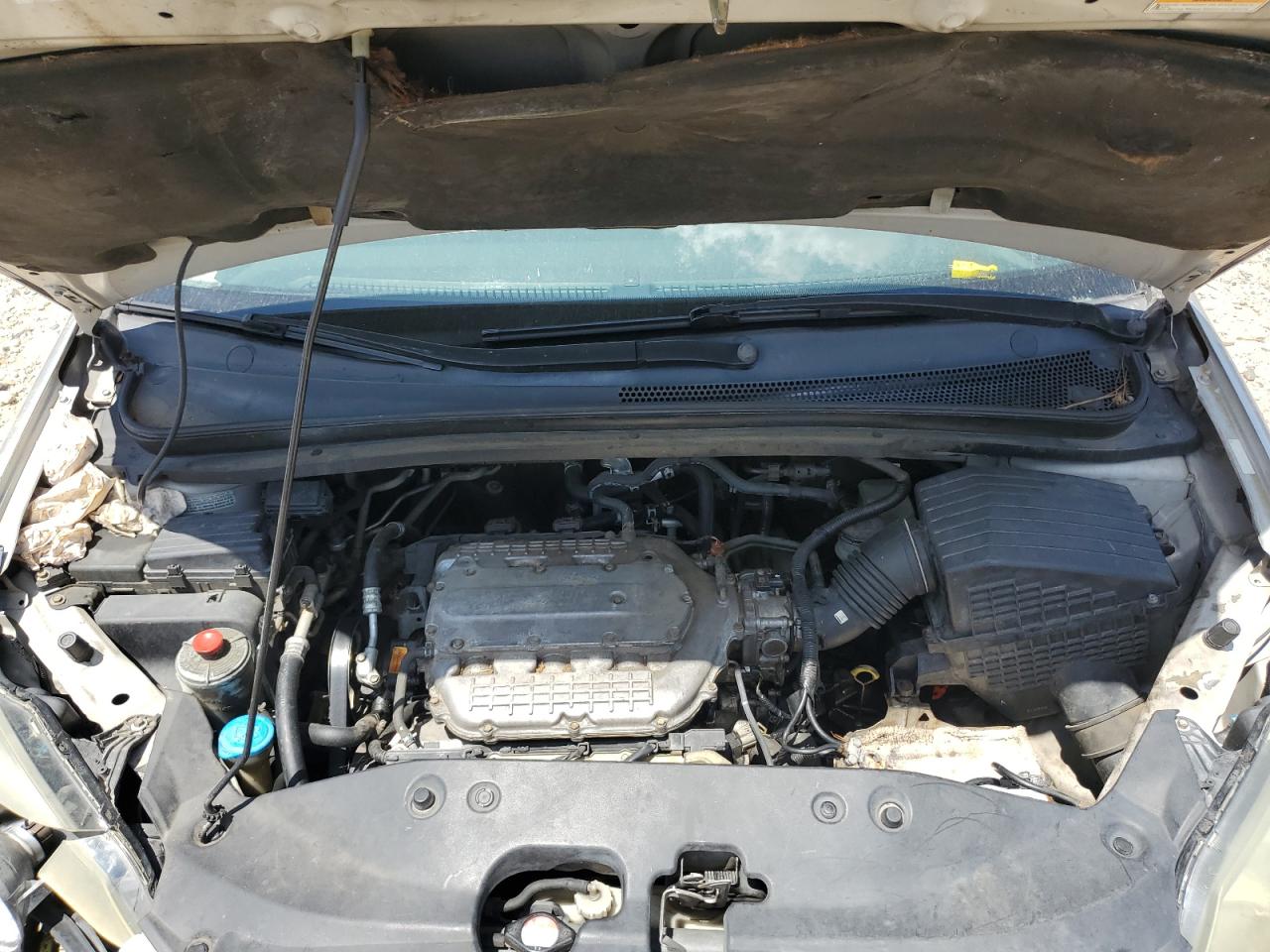 2006 Honda Odyssey Ex VIN: 5FNRL38416B400750 Lot: 64657575