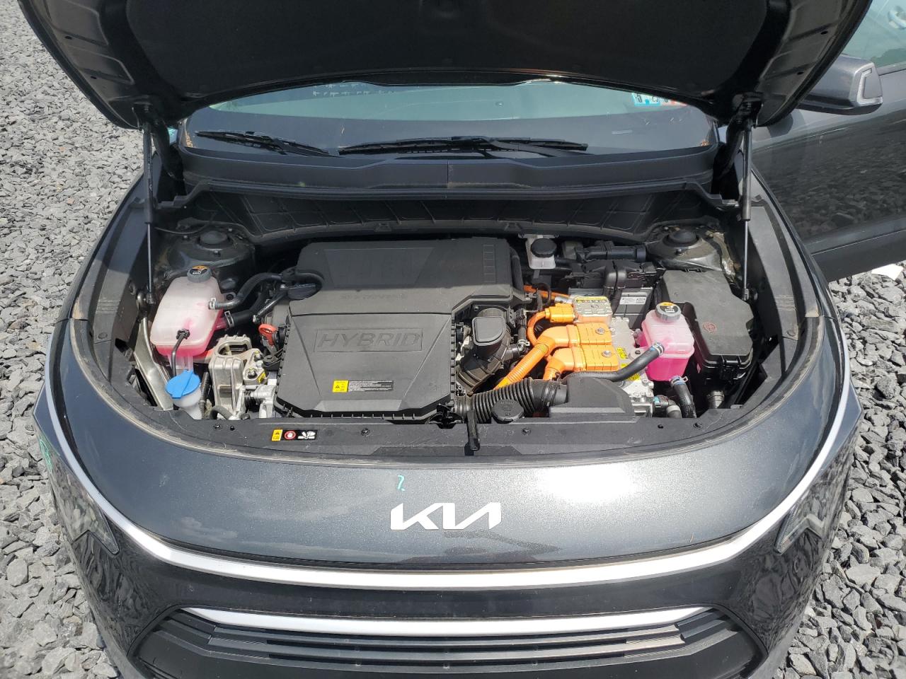 2024 Kia Niro Ex VIN: KNDCR3LE8R5162504 Lot: 62903525