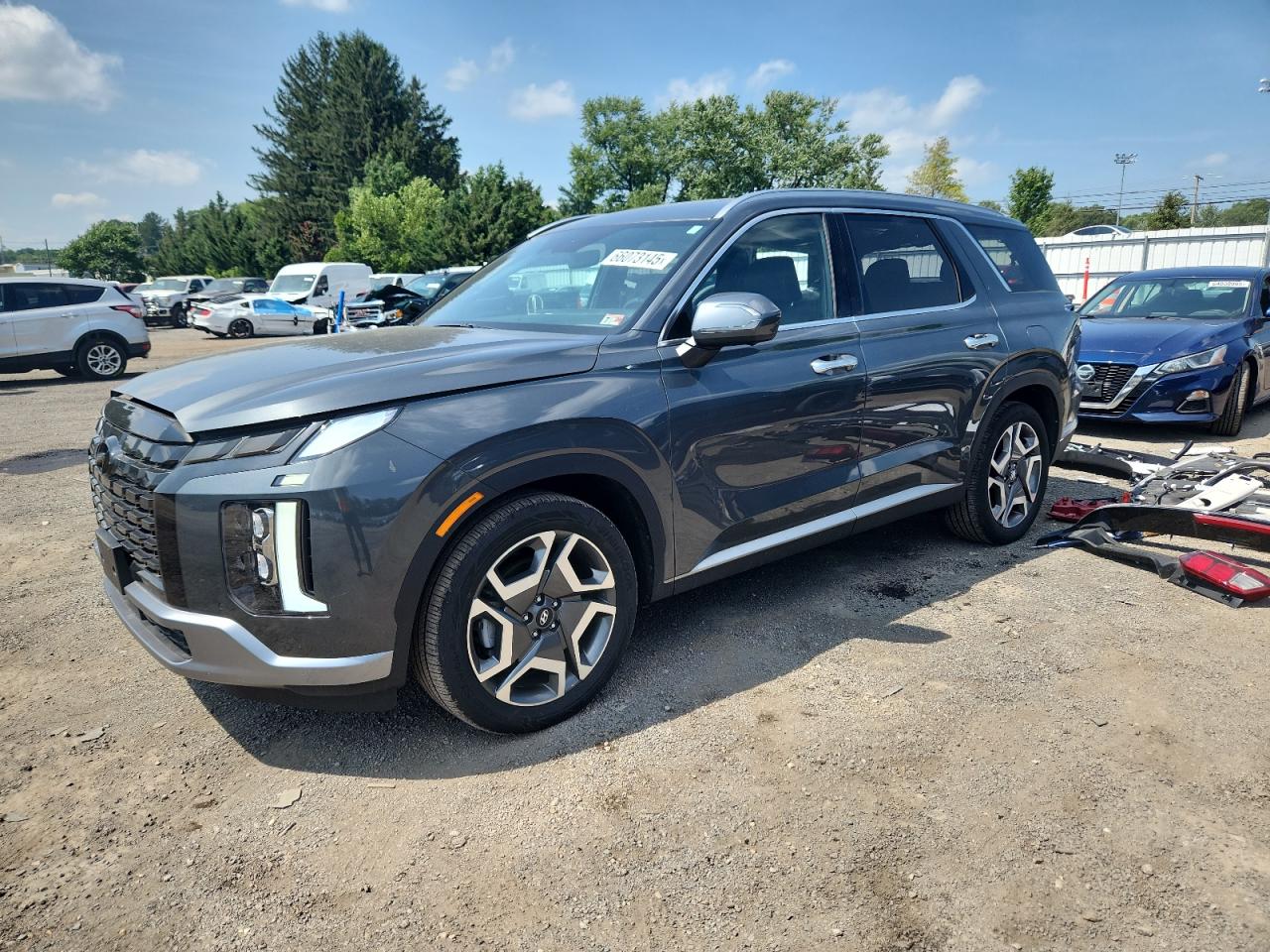 2023 Hyundai Palisade Sel Premium VIN: KM8R44GE1PU577784 Lot: 66073145