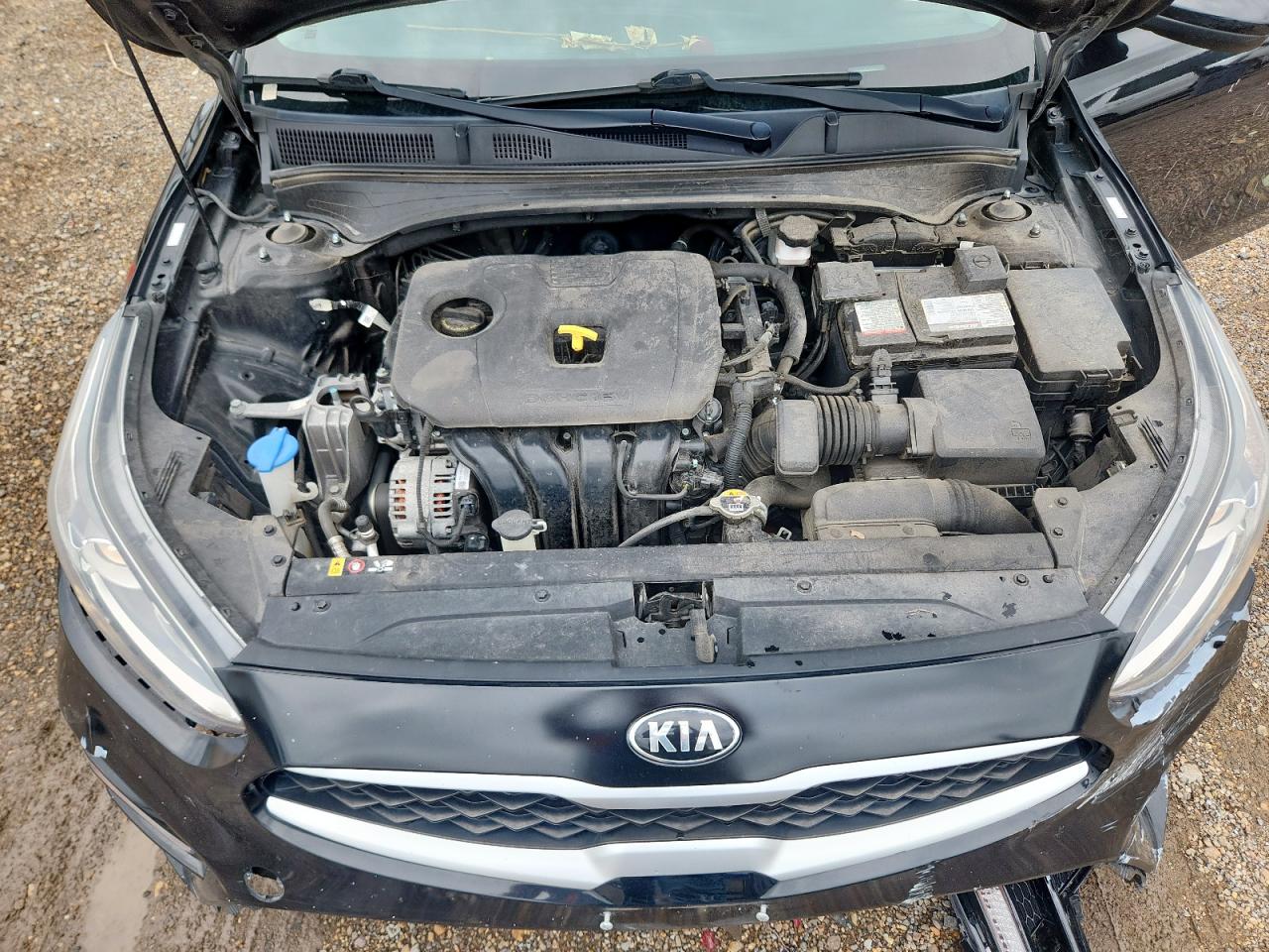 2021 Kia Forte Fe VIN: 3KPF24ADXME325622 Lot: 63532365