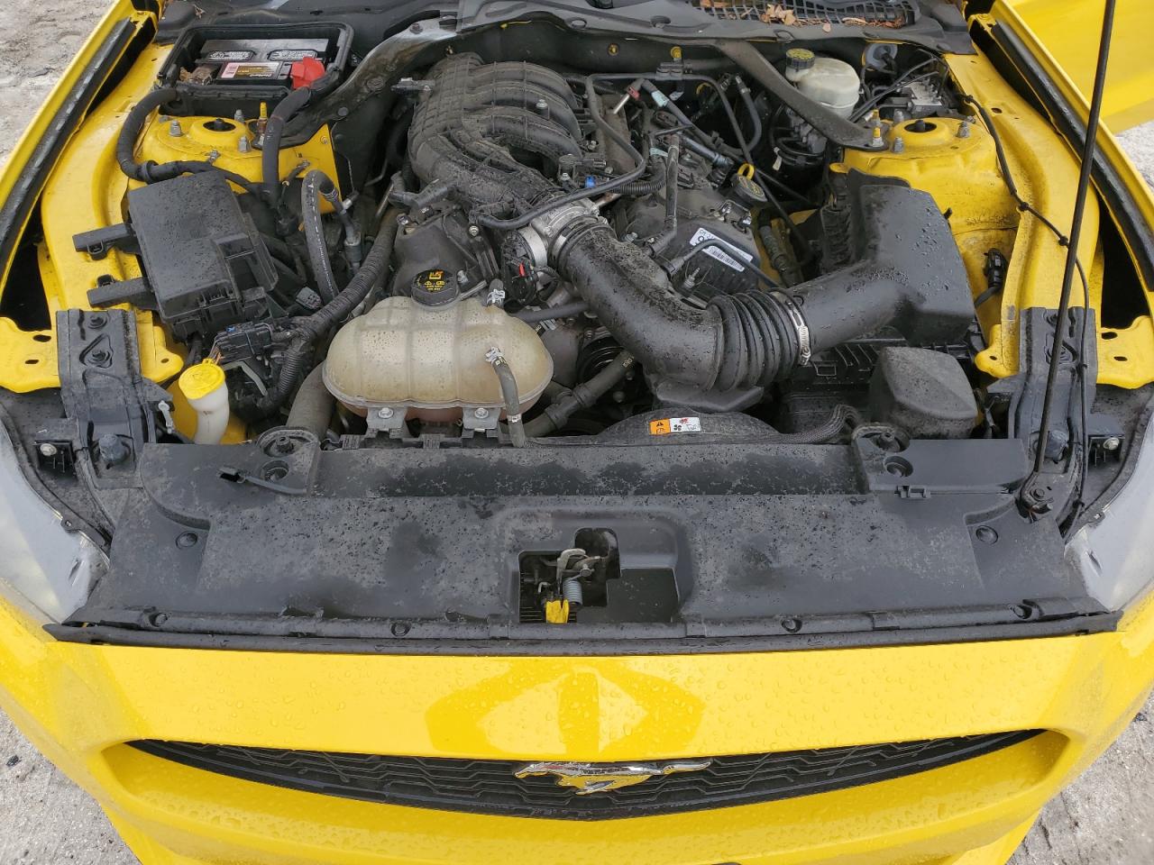 1FATP8EM1G5309658 FORD ALL Models 2016