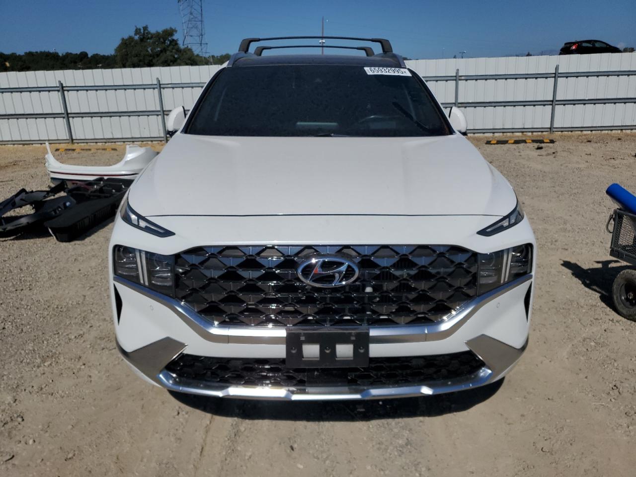 2022 Hyundai Santa Fe Calligraphy VIN: 5NMS54AL9NH467337 Lot: 65932995