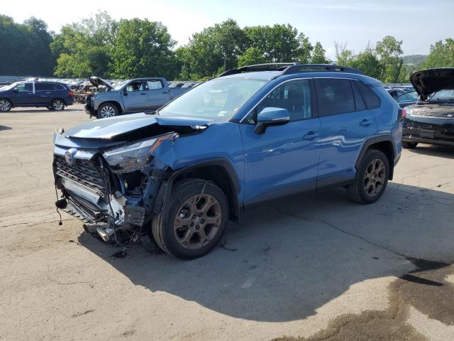  TOYOTA RAV4 WOODL 2023 Blue