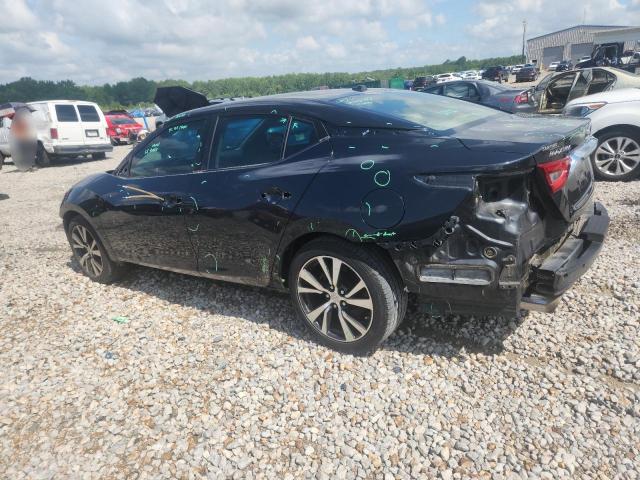  NISSAN MAXIMA 2017 Синий