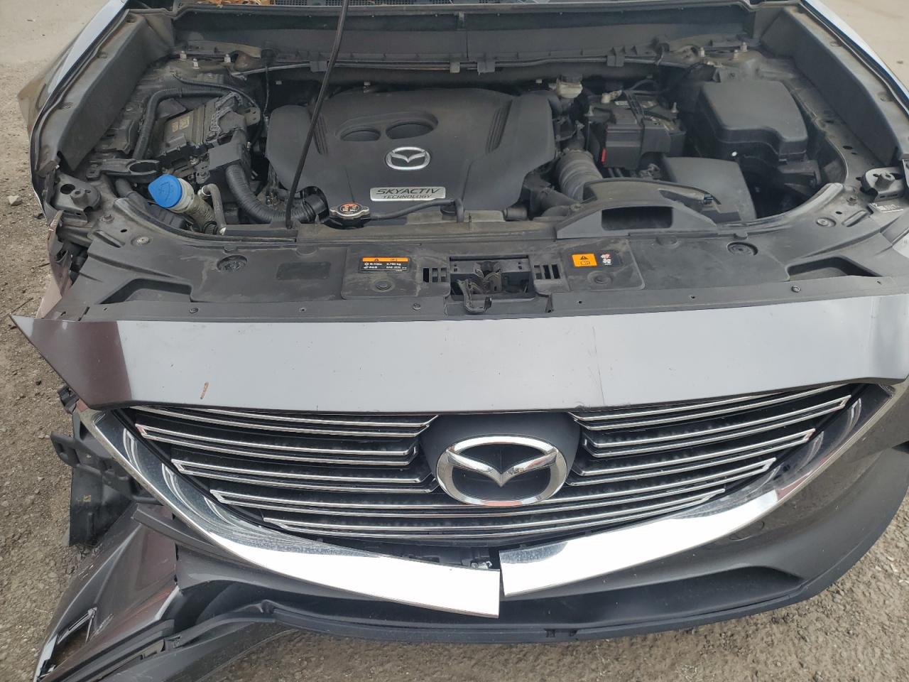 2016 Mazda Cx-9 Touring VIN: JM3TCBCY9G0113738 Lot: 63666185