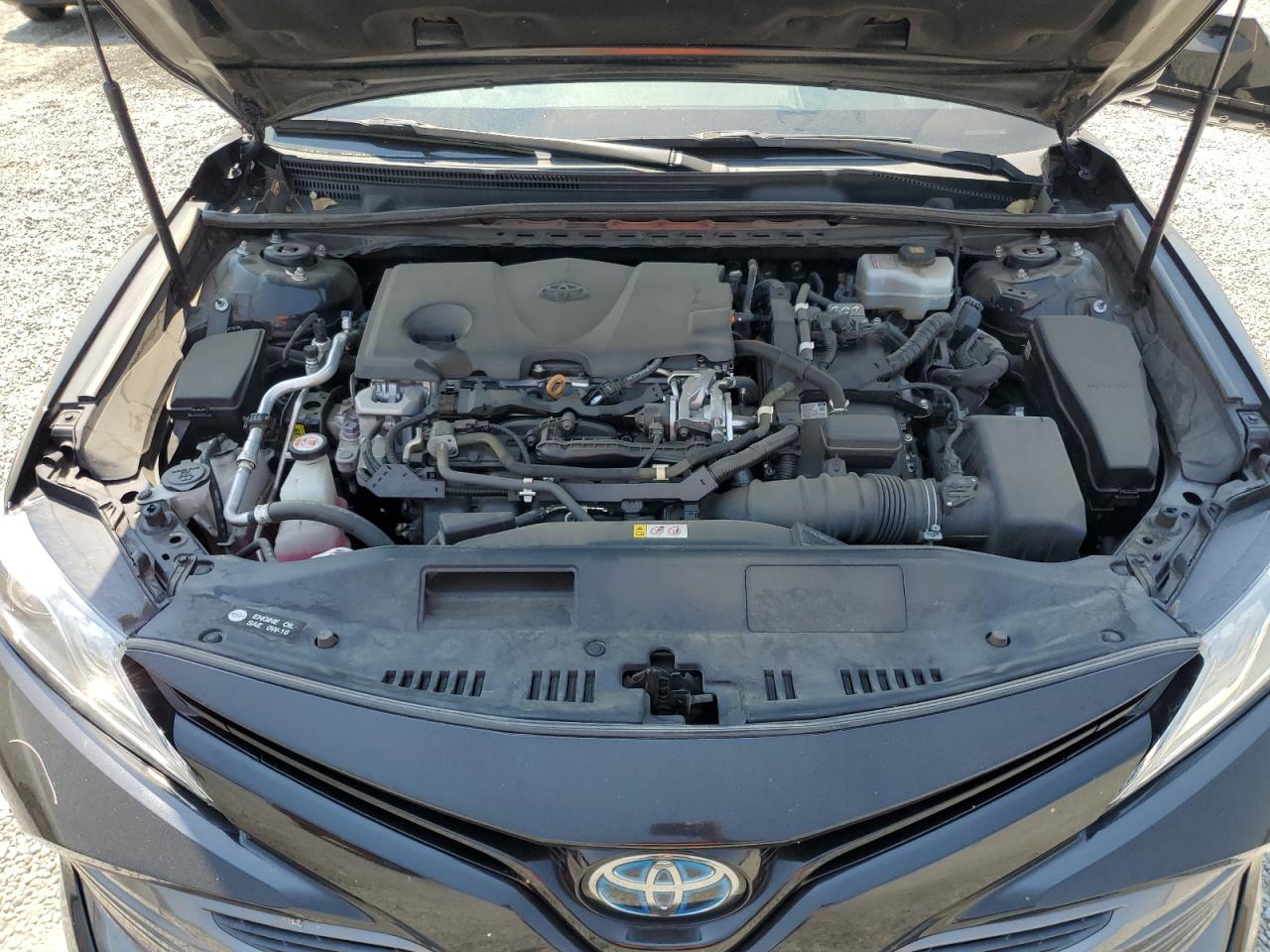 2020 Toyota Camry Xle VIN: 4T1F31AK0LU532588 Lot: 64687345
