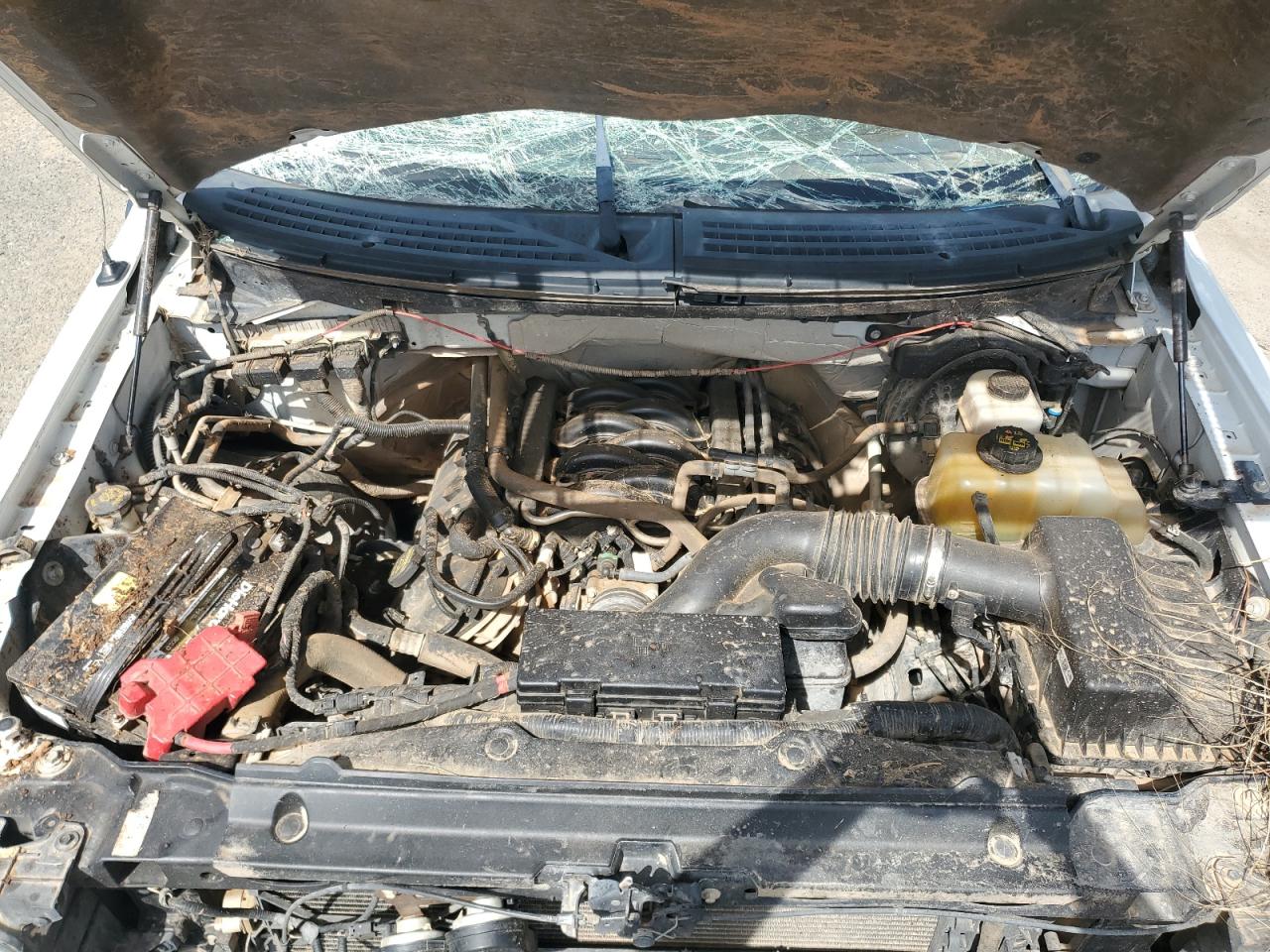 2013 Ford F150 Super Cab VIN: 1FTFX1EF2DKF43806 Lot: 64323385