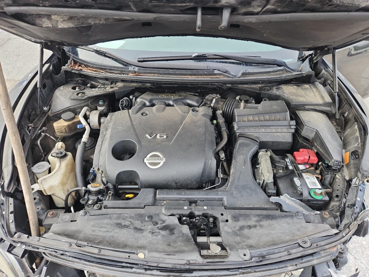 2009 Nissan Maxima S VIN: 1N4AA51E99C845228 Lot: 64656045