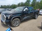 2023 TOYOTA TUNDRA CREWMAX PLATINUM   for sale at Copart ON - COOKSTOWN