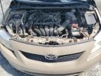 2010 TOYOTA COROLLA BASE   for sale at Copart NS - HALIFAX