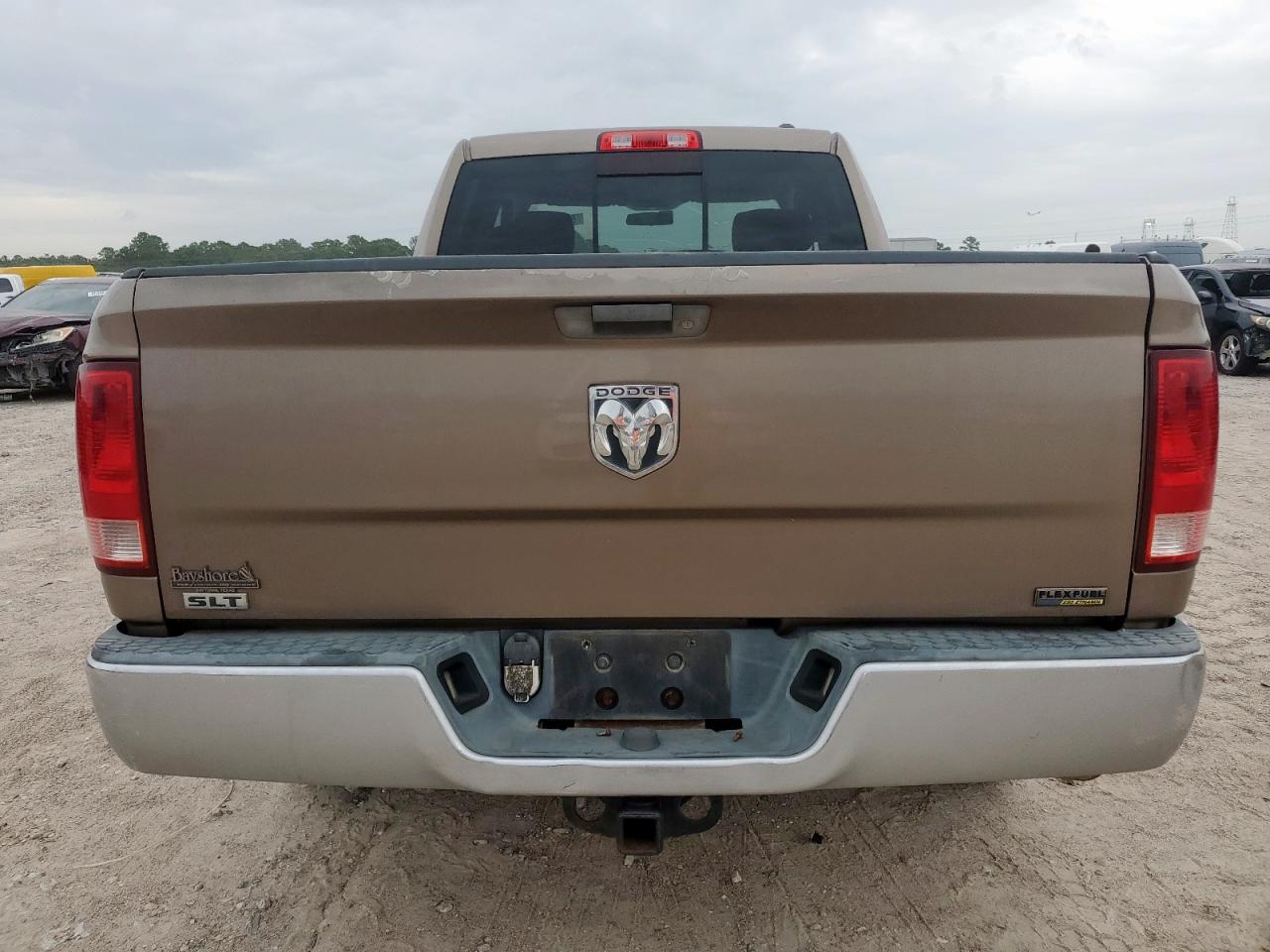 2010 Dodge Ram 1500 VIN: 1D7RB1GP5AS110905 Lot: 65421275