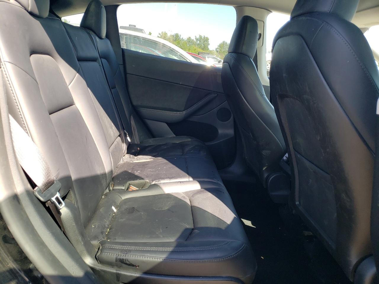 2024 Tesla Model Y VIN: 7SAYGAEE9RF085558 Lot: 64665165