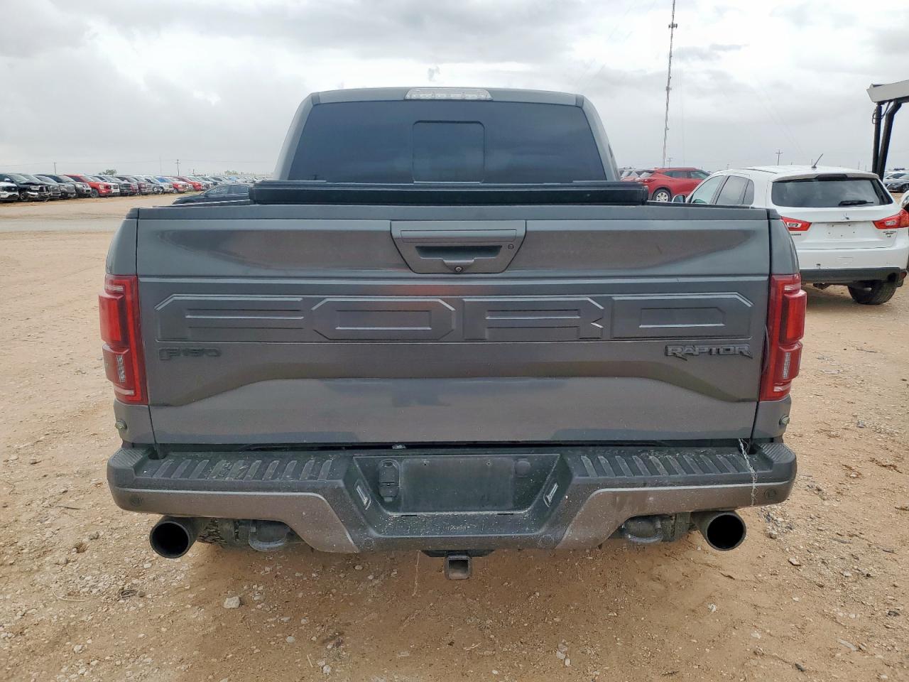 2018 Ford F150 Raptor VIN: 1FTFW1RG0JFE46940 Lot: 63232015