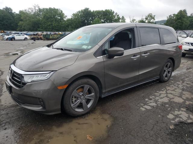  HONDA All Models 2021 Угольный