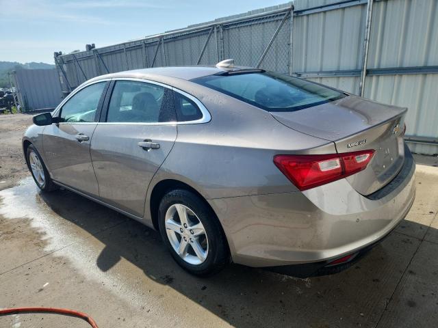  CHEVROLET MALIBU 2024 Gold