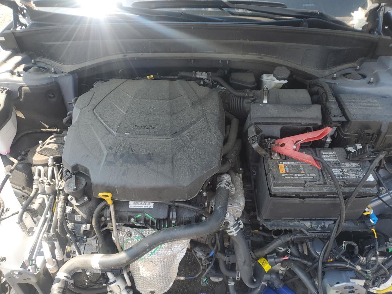 2023 Kia Telluride Sx VIN: 5XYP5DGC1PG357781 Lot: 84543515