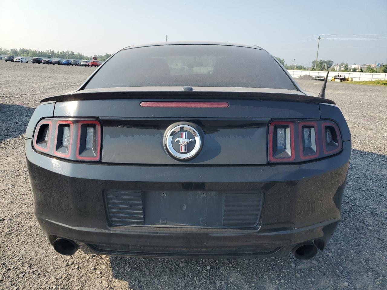 2014 Ford Mustang VIN: 1ZVBP8AM7E5213975 Lot: 62849625