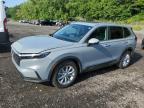2024 HONDA CR-V EXL   for sale at Copart NY - NEWBURGH