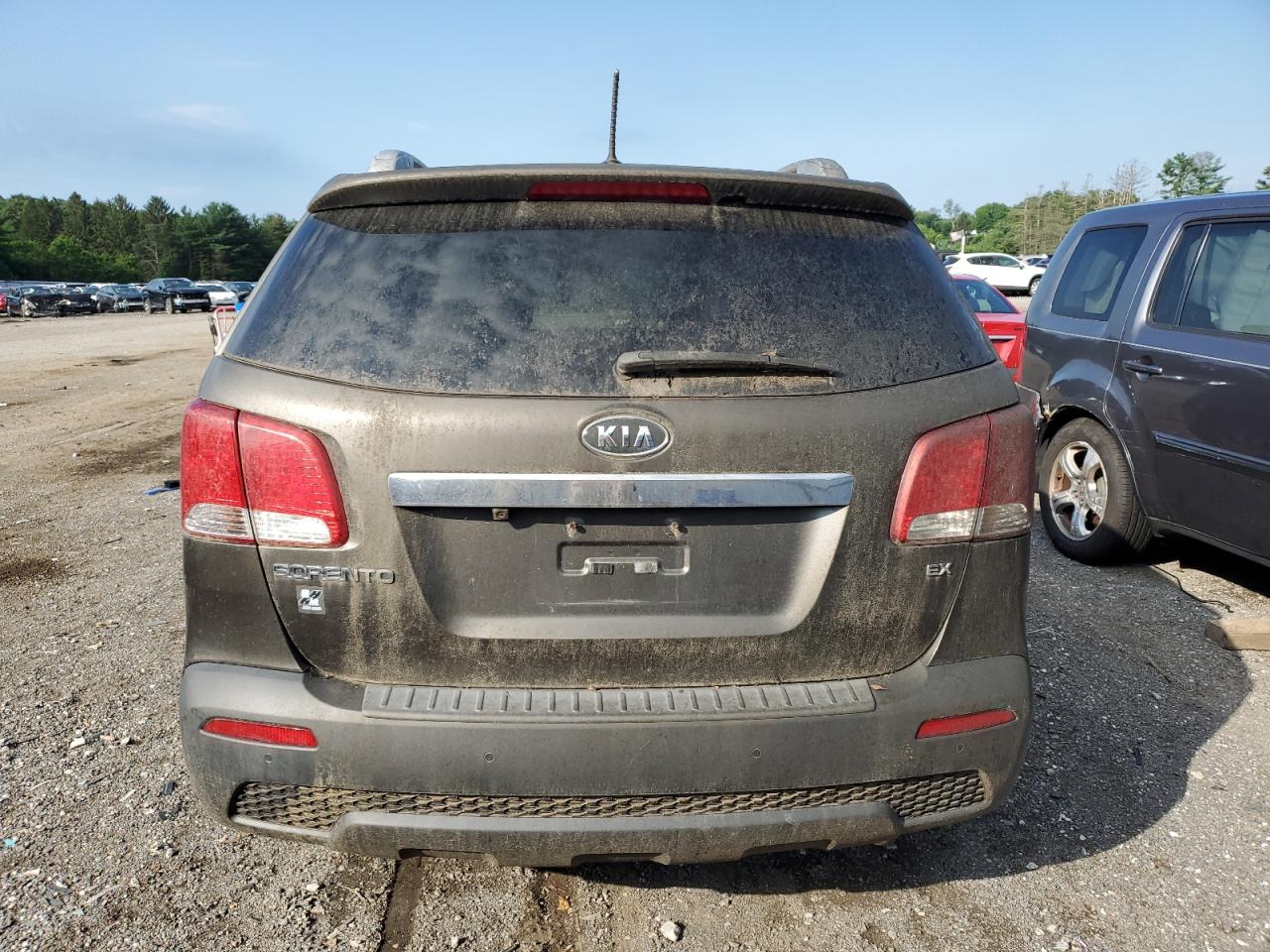 2013 Kia Sorento Ex VIN: 5XYKUDA64DG401686 Lot: 62184205